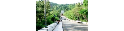 075. திருவேங்கடம்